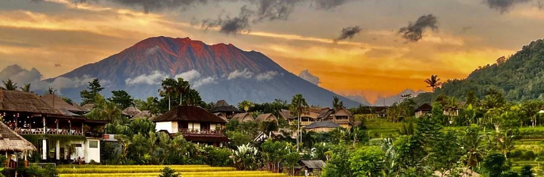 Bali Visits Cover Image