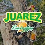 juarez landscaping landscaping Profile Picture