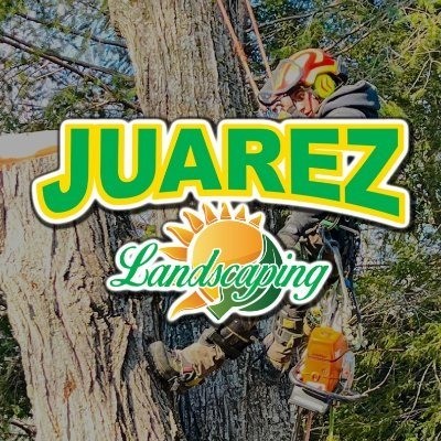 juarez landscaping landscaping Profile Picture